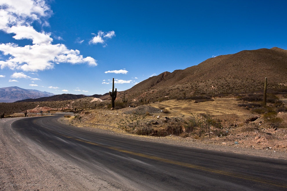 Parc Los Cardones.