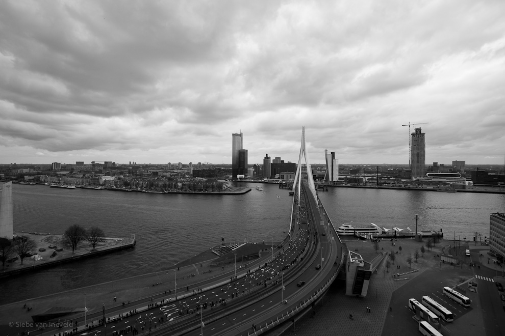 Runners crossing the river over the Erasmus bridge in Rotterdam for the marathon.